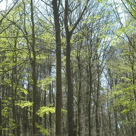 Kuestenbrise 1 Апартаменты Граль-Мюриц