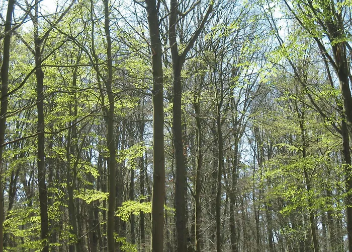 Kuestenbrise 1 公寓 格拉尔-米里茨